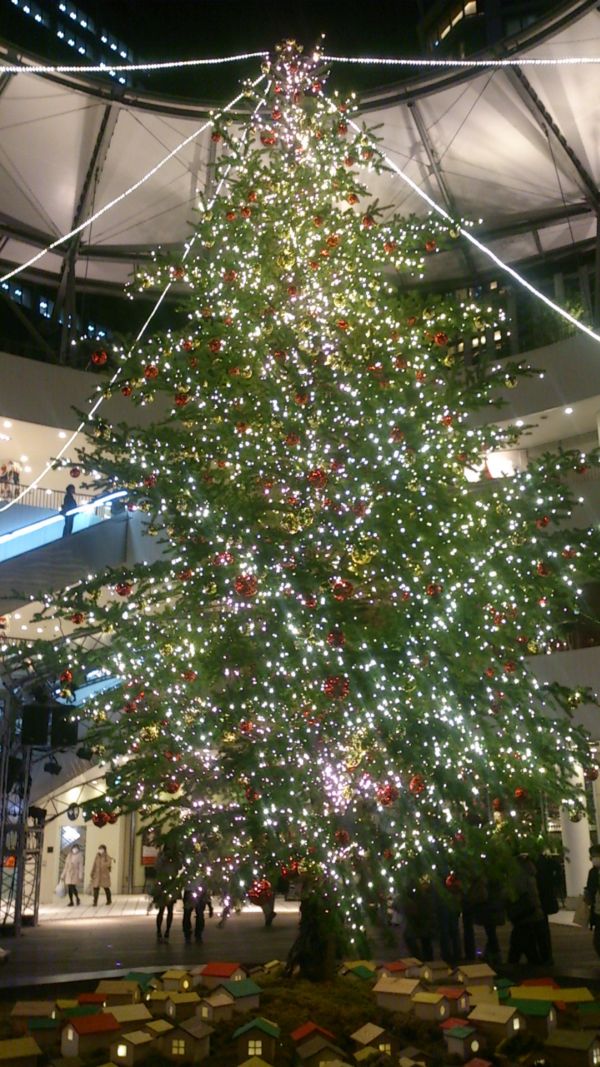 横浜クリスマスツリー2014